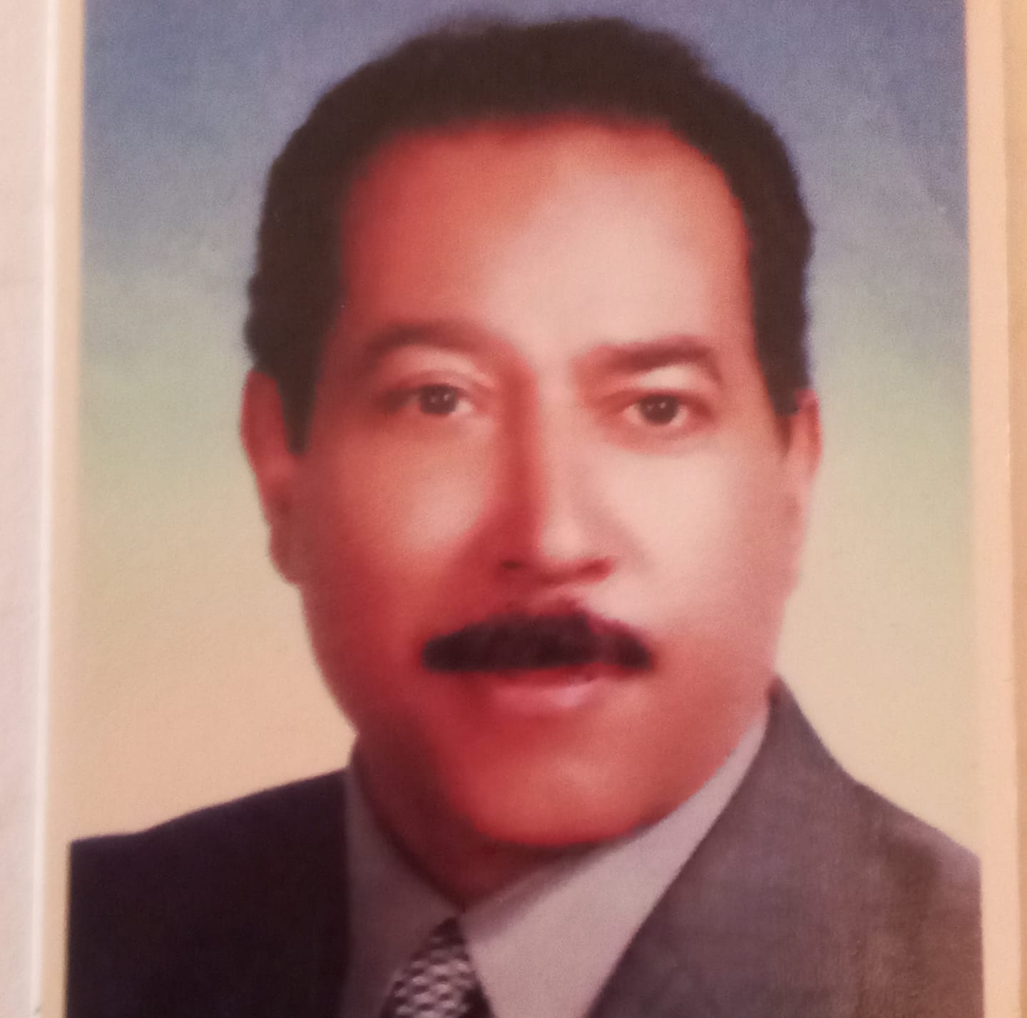 محمود أبو العينين