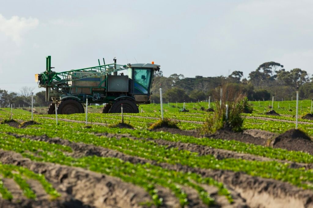 Sprayer applying fertilizer to young crops